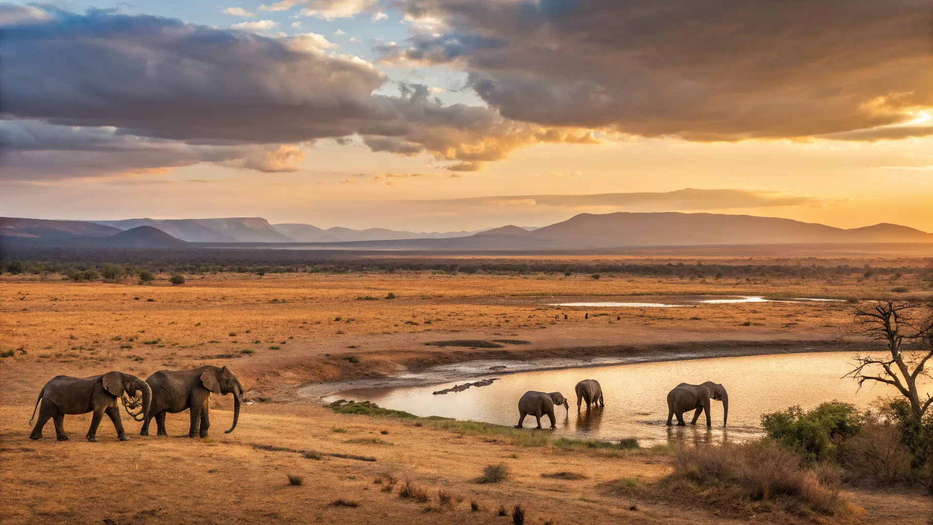 Unlock Adventure: Your Ultimate Fourteen-Day Southern Africa Circuit with Eswatini and Flights Included