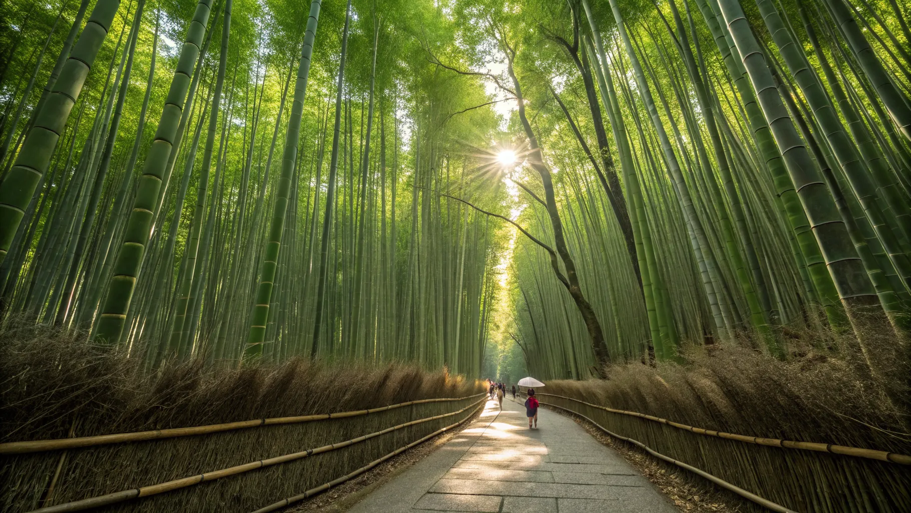 The Ultimate Guide to 14 Day Summer Trips to Japan: A Complete Itinerary