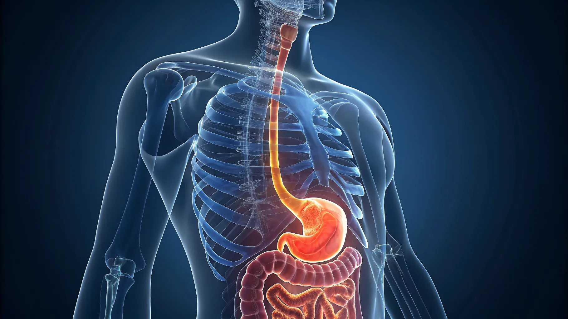 Acid Reflux Symptoms: Understanding Causes and Effective Treatments