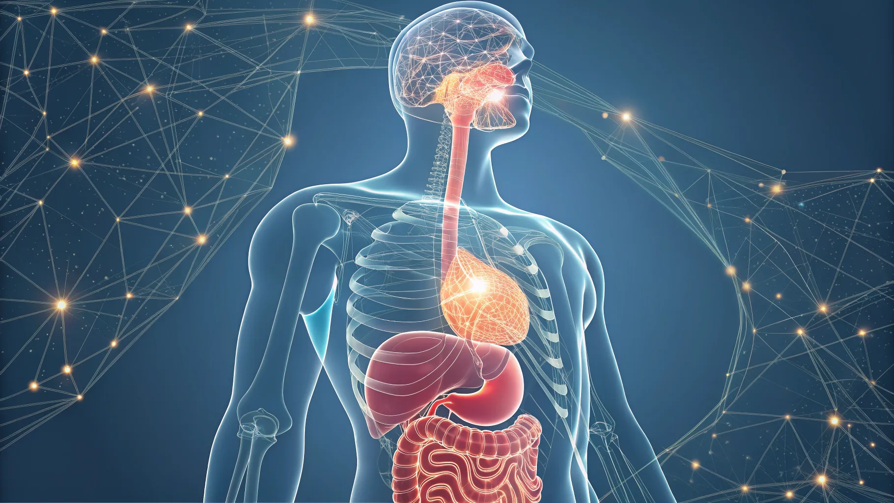Exploring New Treatment Options for Acid Reflux